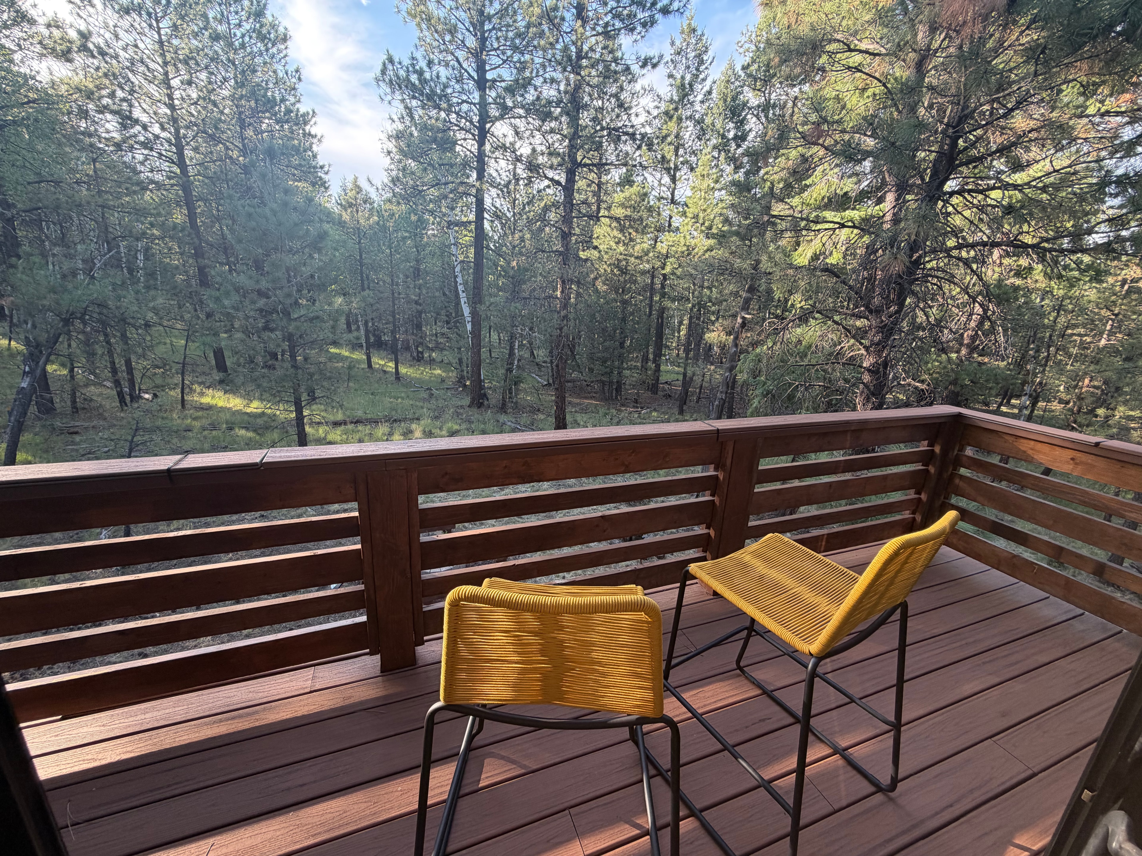 Arizona mountain cabin photo