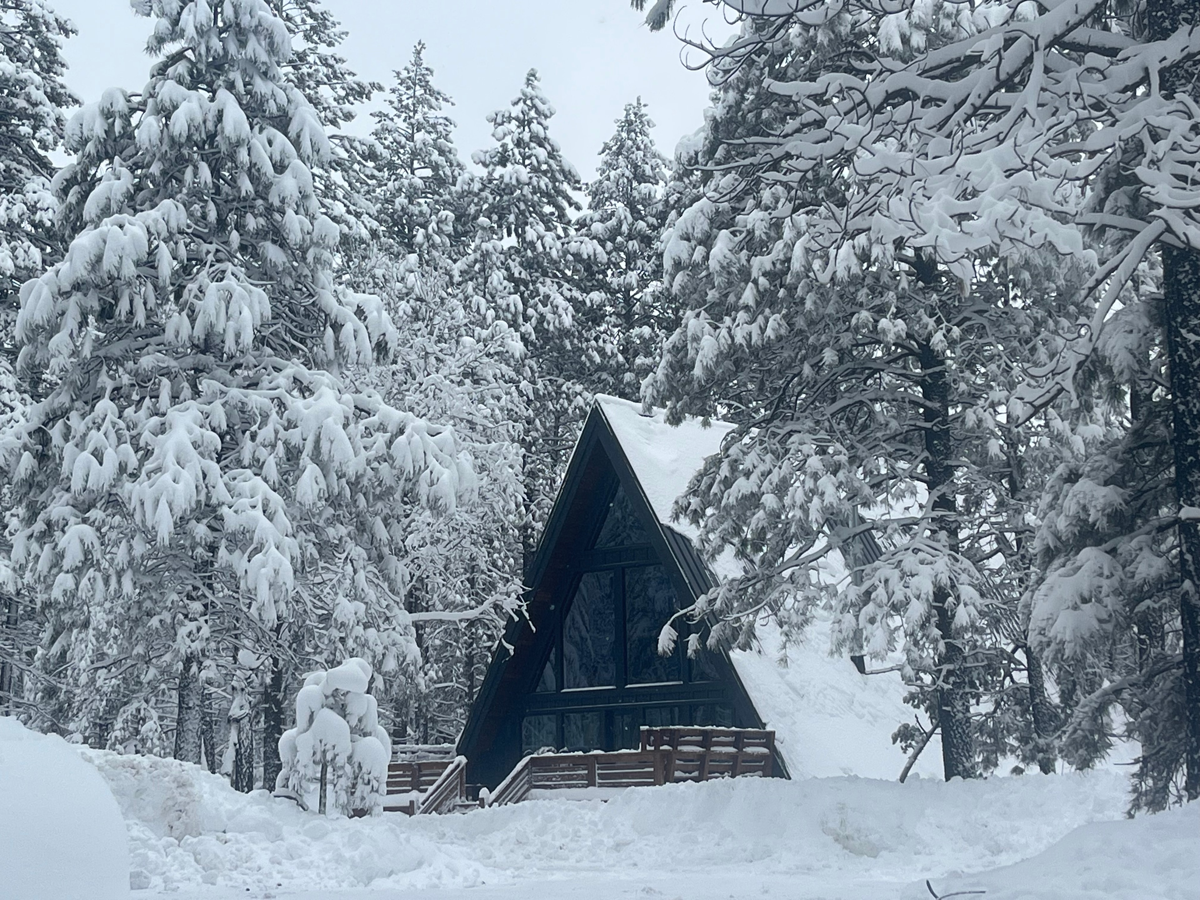Arizona mountain cabin photo
