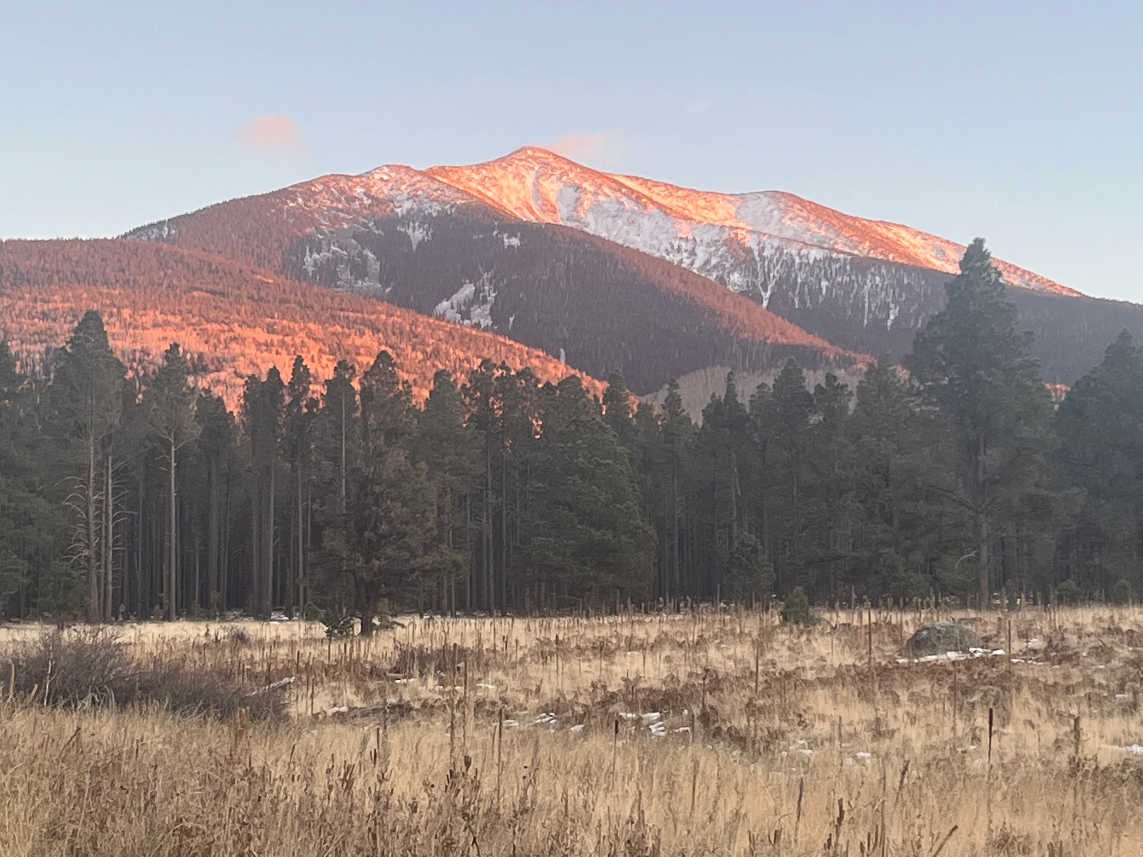 Arizona mountain cabin photo